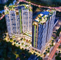 Đông Tăng Long Ba Son - Đông Tăng Long Hưng Phúc