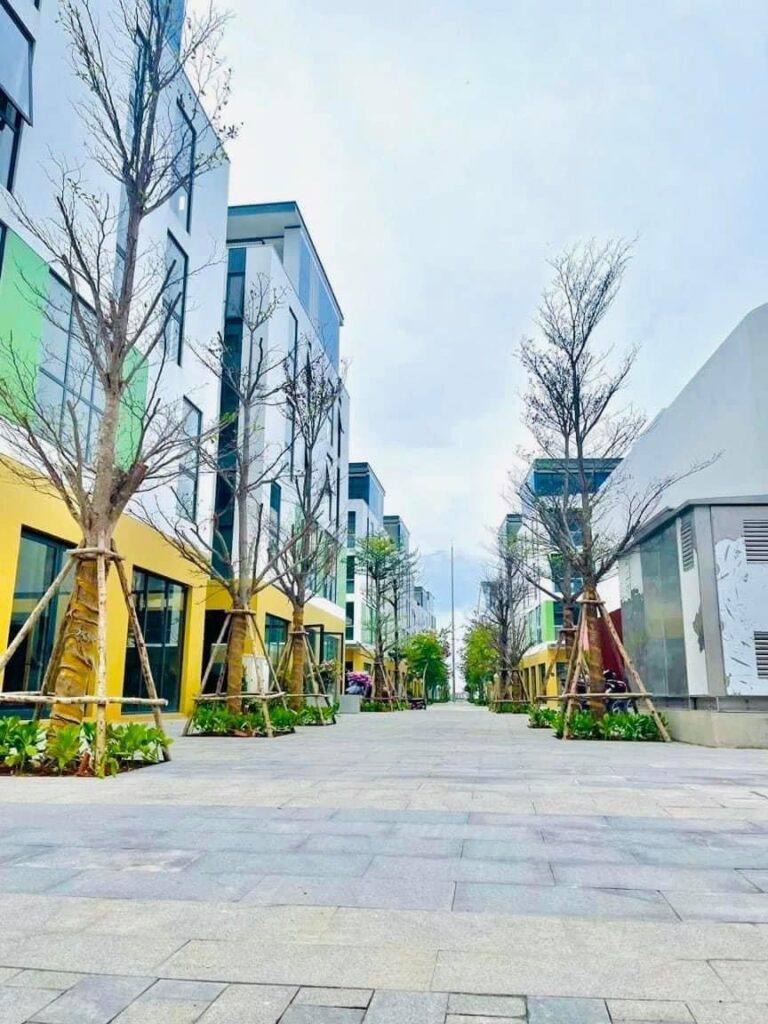 tien do meyhomes capital thang 11/22 ảnh 2