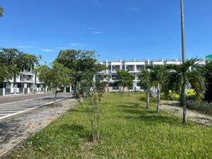 Nhà phố 5x20m 2.5 tầng dự án Đông Tăng Long - ảnh 3