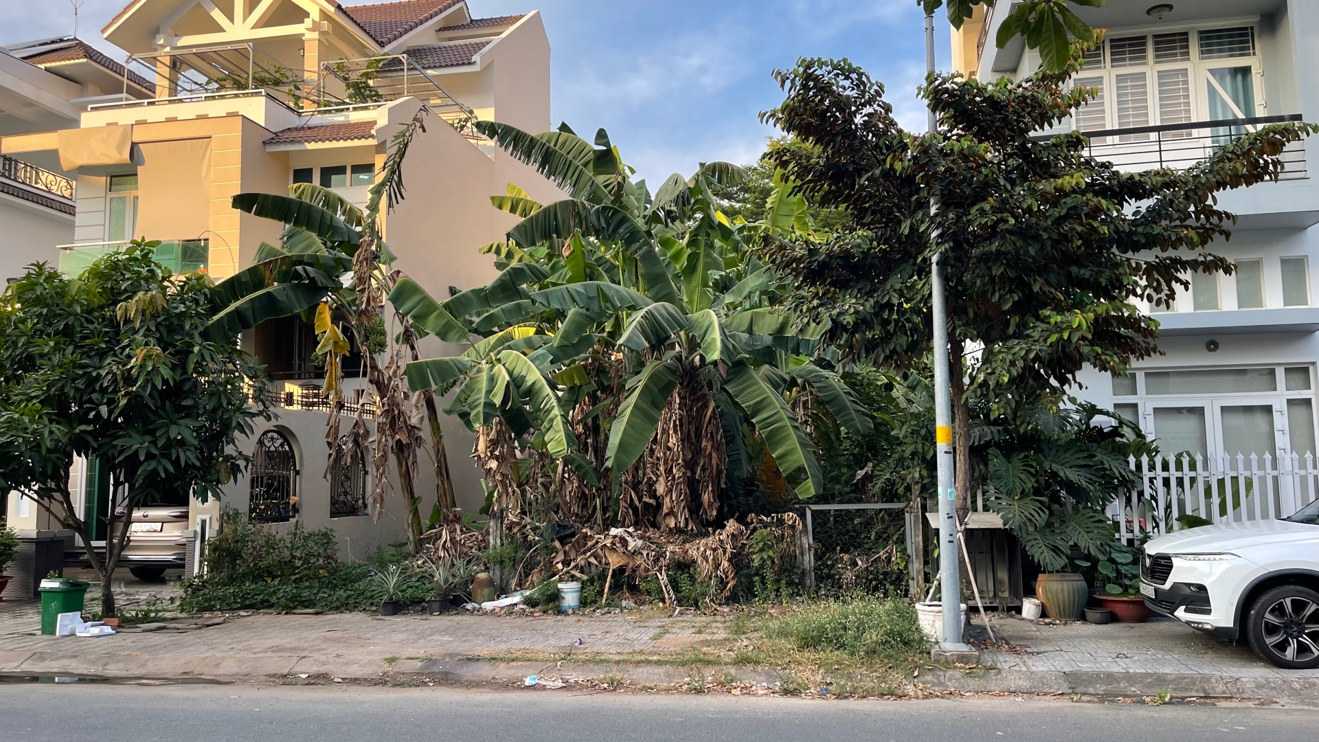Ban dat duong ut tra on gia hoa
