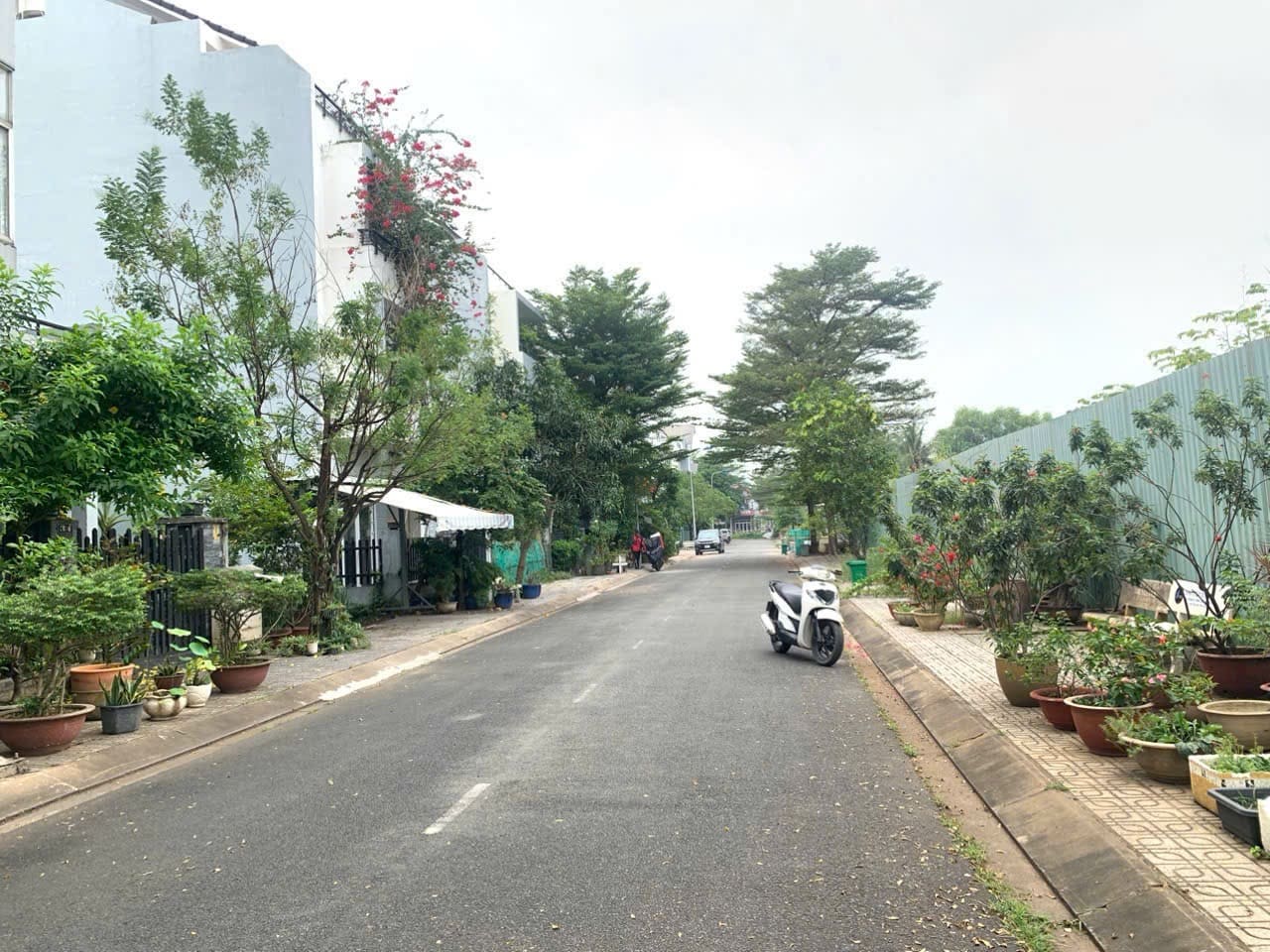ban dat kdc gia hoa phuoc long b 1